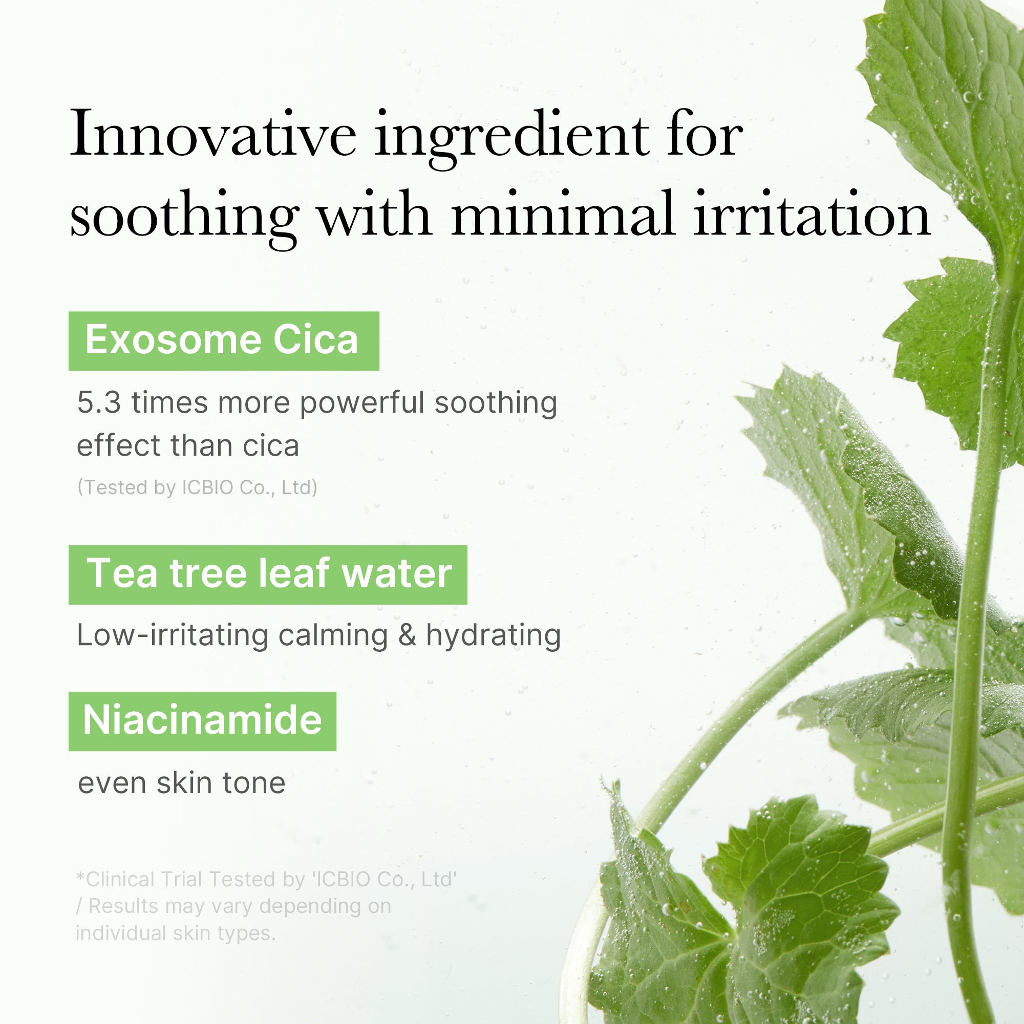 Exosome Cica Calming Toner Pads – MEDICUBE US