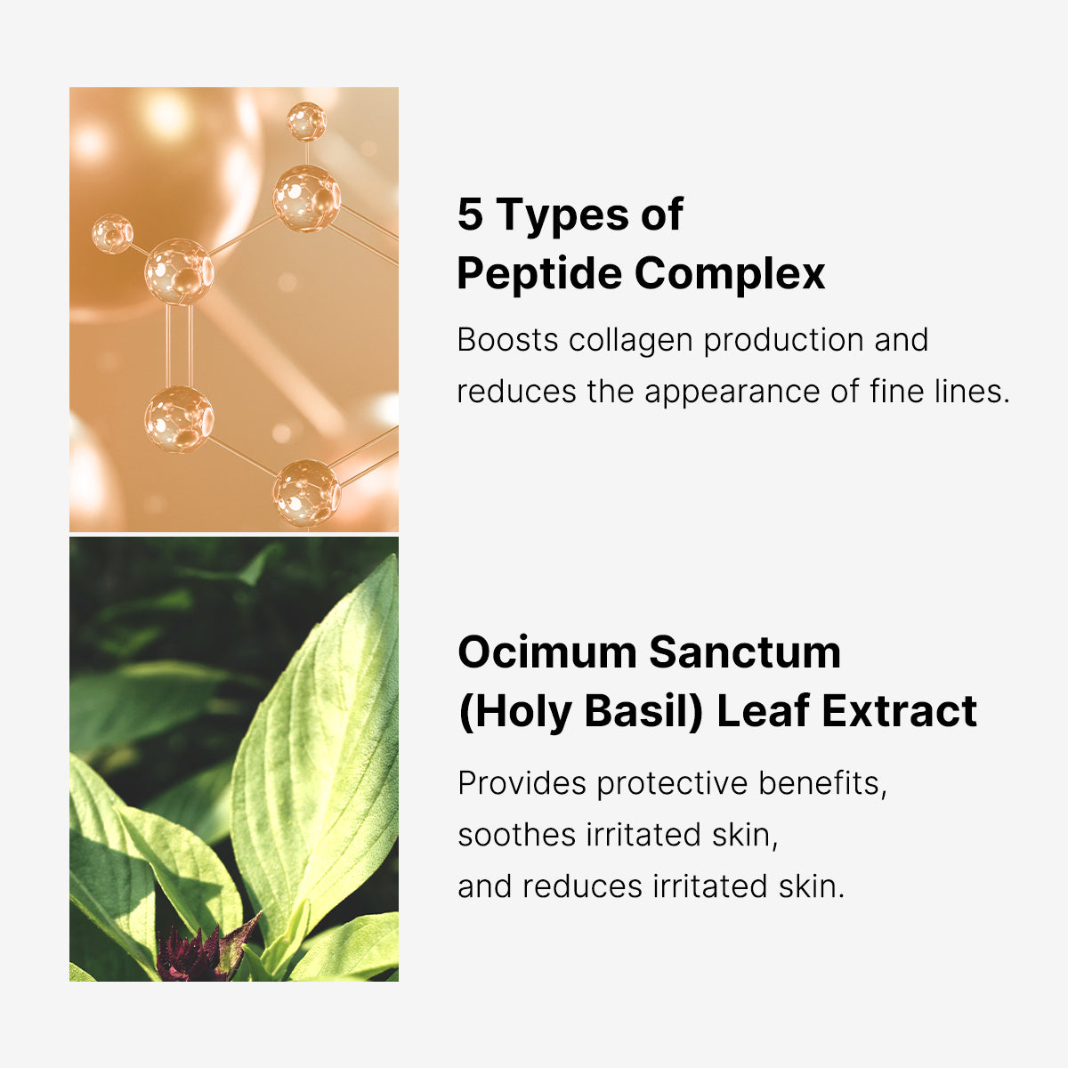 PDRN_11_295ac27d-3bda-45c4-a1fb-86b367aedea4.jpg (1200×1200)